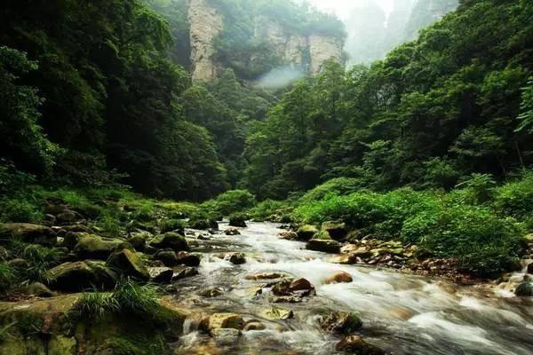 嘉宾门槛最高的纪录片?《人生一万年》揭秘百岁老人人生路